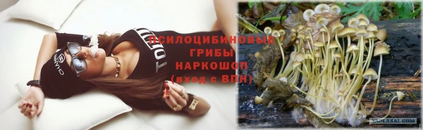 твердый Алексин