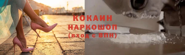 твердый Алексин