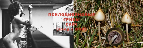 соль курить ск Алзамай