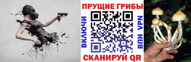 omg сайт  Гдов  Галлюциногенные грибы Psilocybine cubensis 
